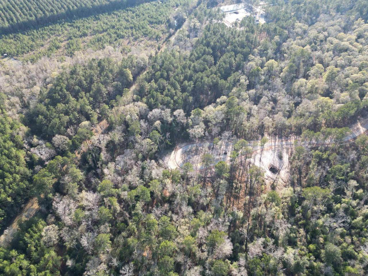 Lot 6 Livingston Farms Lane - Photo 1