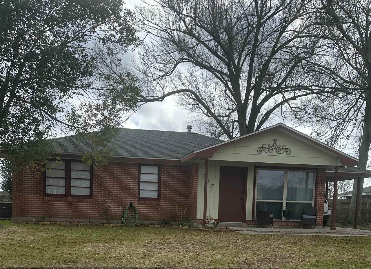 217 Cretini Lane - Photo 1