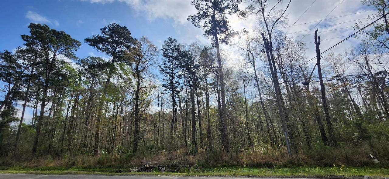 Tract A-4 Reinninger Rd - Photo 1