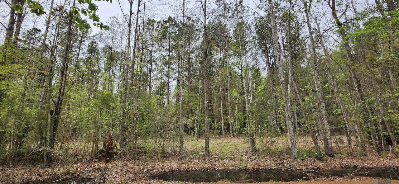 Lot C-1 Jessie Sibley Rd - Photo 1