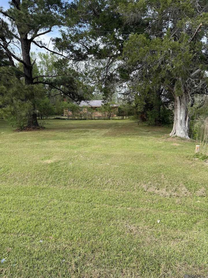 217 Port Hudson Plains Rd - Photo 1