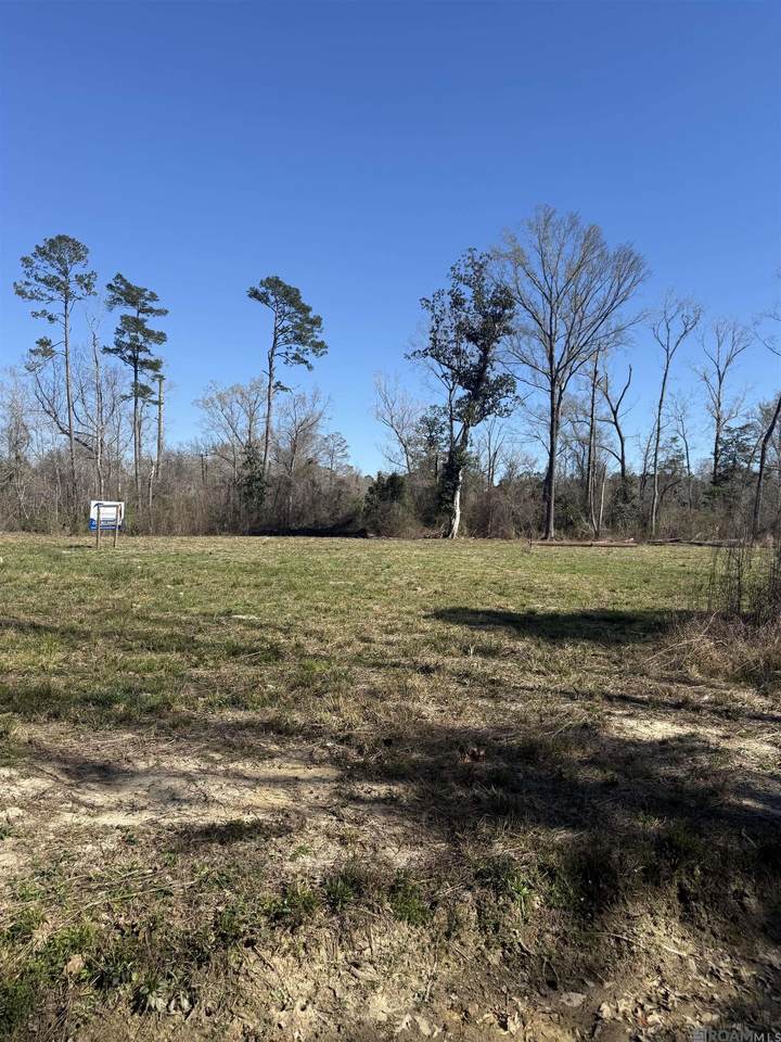 Lot 3 Music Ln - Photo 1