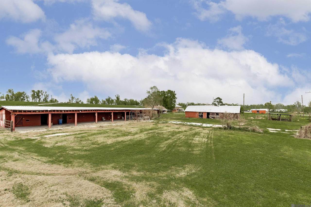 TBD River Rd - Photo 1