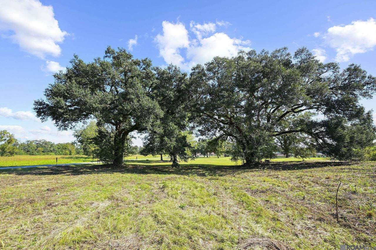 https://bt-photos.global.ssl.fastly.net/batonrouge/1280_boomver_1_2026007193-2.jpg