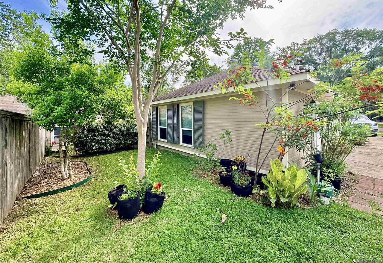 10942 Neale Fraser Dr - Photo 1