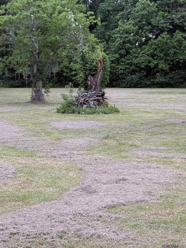 https://bt-photos.global.ssl.fastly.net/batonrouge/1280_boomver_1_2026007904-2.jpg