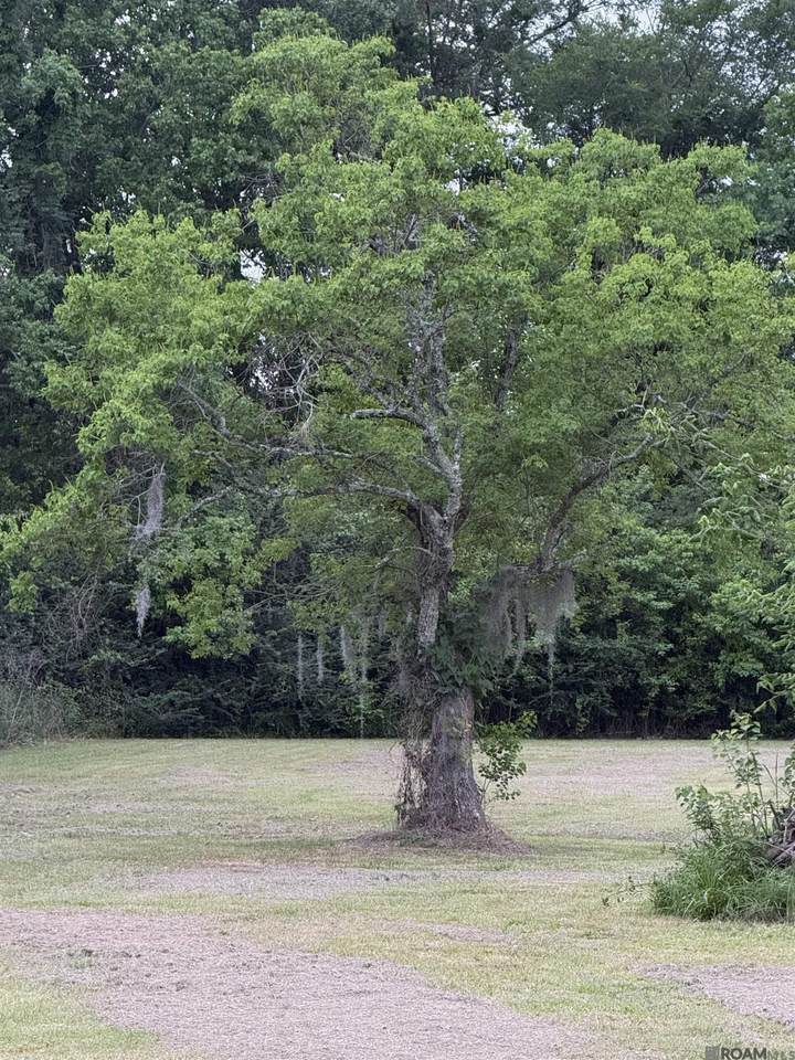 https://bt-photos.global.ssl.fastly.net/batonrouge/1280_boomver_1_2026007904-2.jpg
