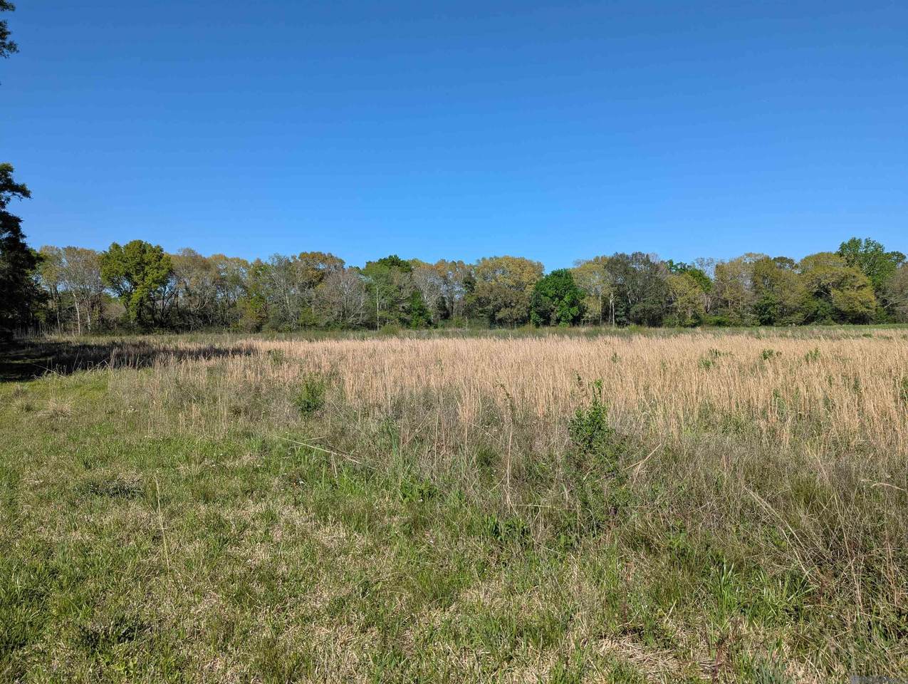 1929 Milton Rd - Photo 1