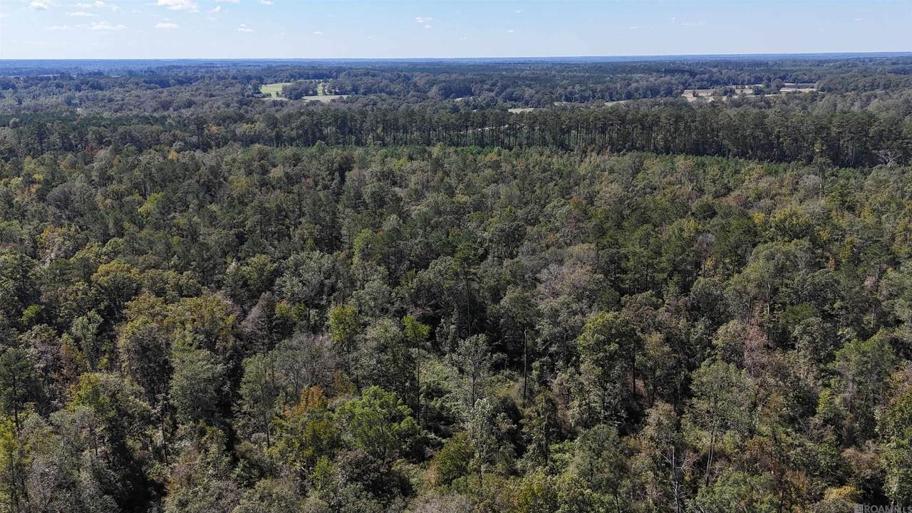 SMIT-1-B-1 La Hwy 63 - Photo 1