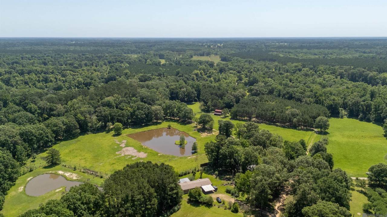 10893 La Hwy 955 - Photo 1