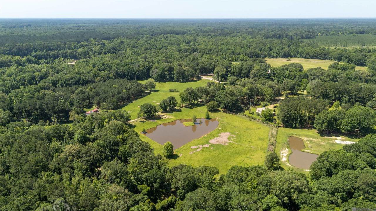 https://bt-photos.global.ssl.fastly.net/batonrouge/1280_boomver_1_2026008961-2.jpg