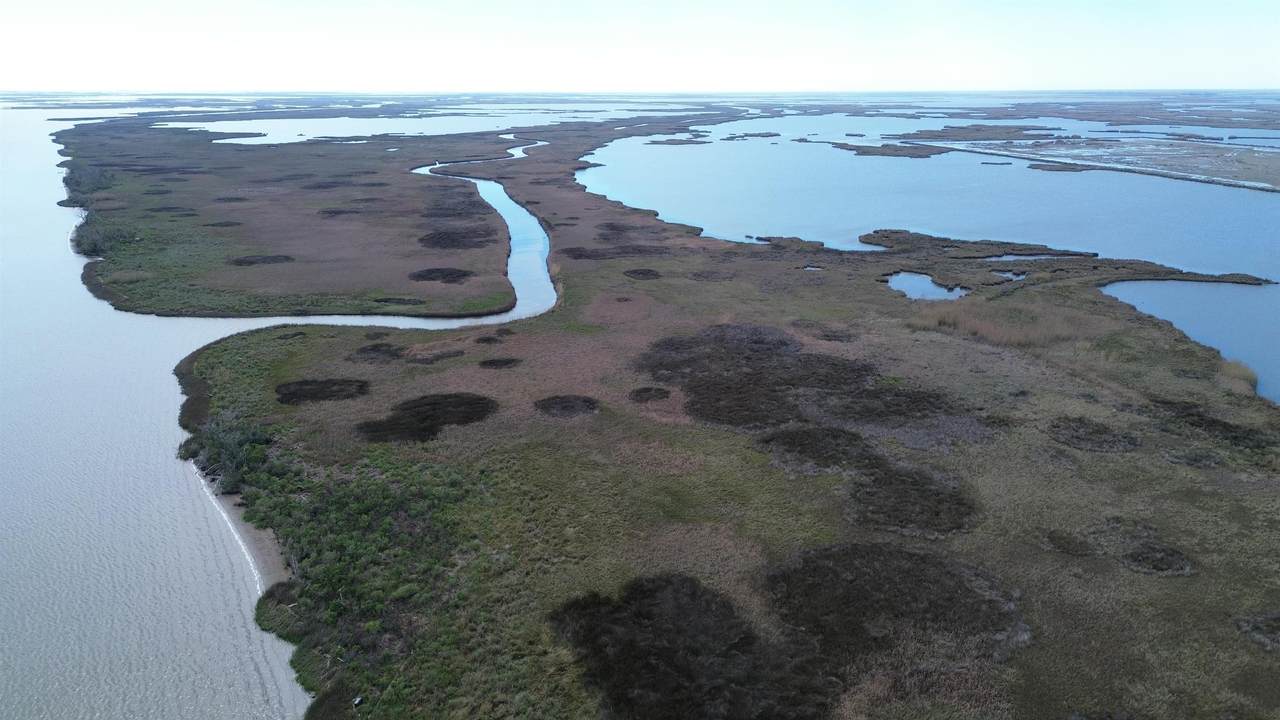 https://bt-photos.global.ssl.fastly.net/batonrouge/1280_boomver_1_2026009568-2.jpg
