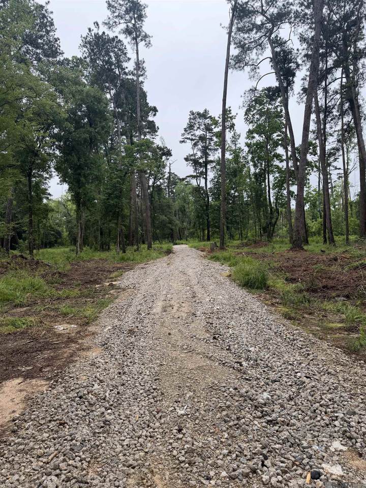 https://bt-photos.global.ssl.fastly.net/batonrouge/1280_boomver_1_2026010056-2.jpg