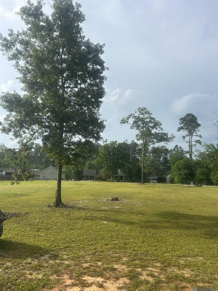  River Pines Dr - Photo 1