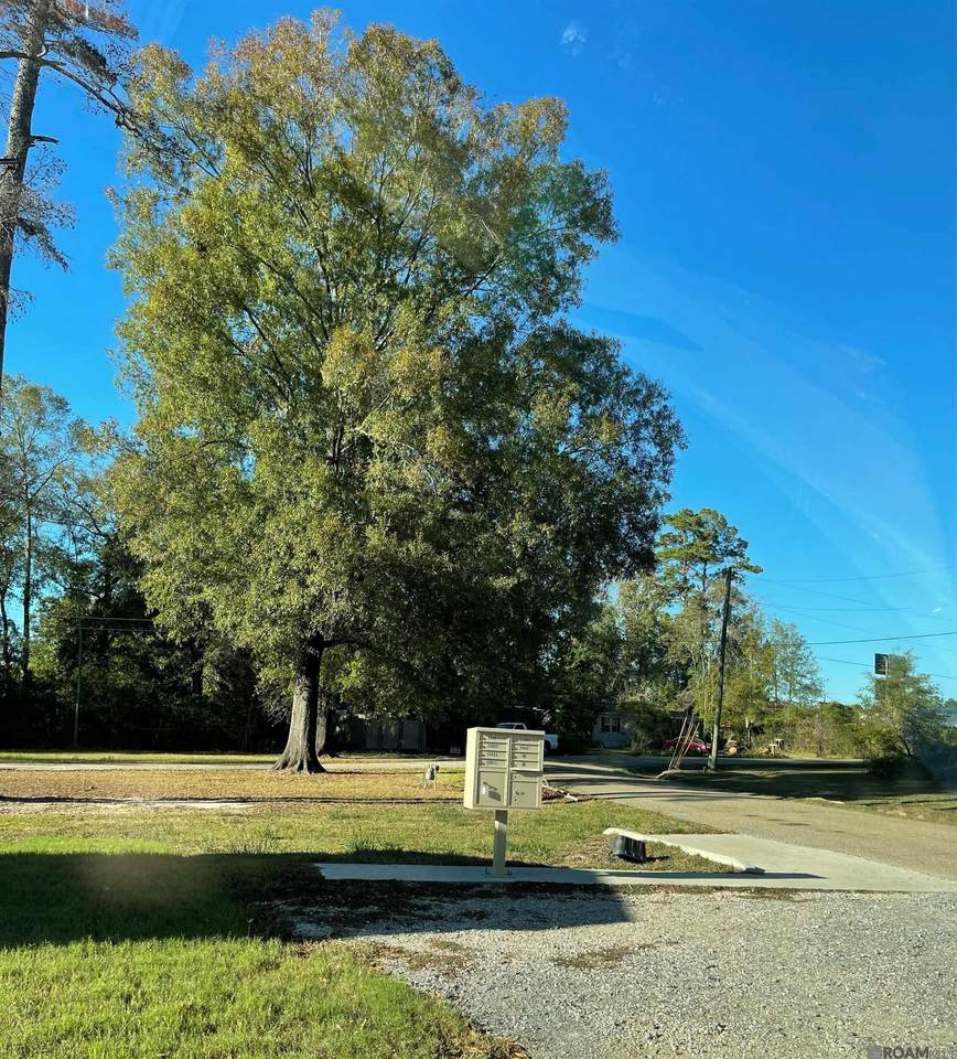 https://bt-photos.global.ssl.fastly.net/batonrouge/1280_boomver_1_2026011314-2.jpg