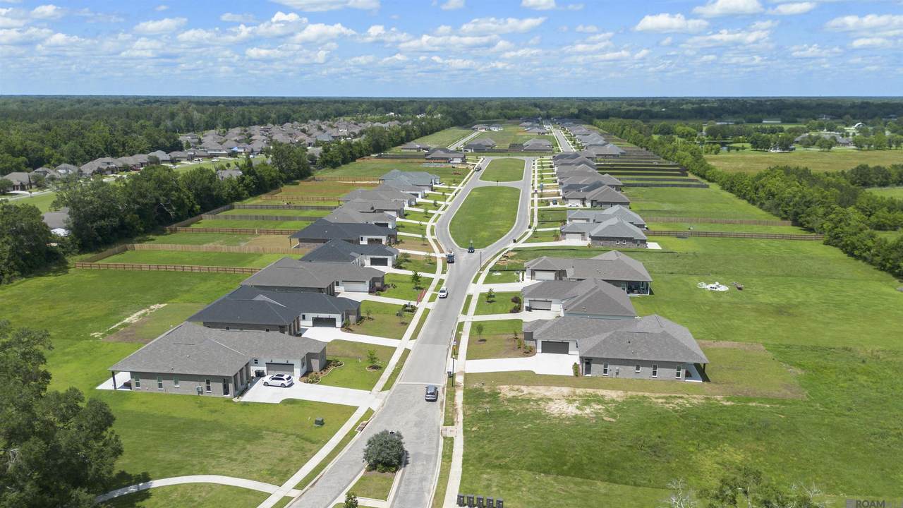 https://bt-photos.global.ssl.fastly.net/batonrouge/1280_boomver_1_2026011747-2.jpg