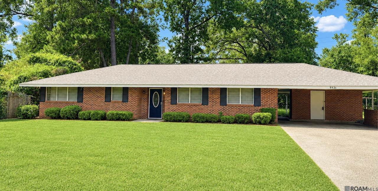 9935 Buena Vista Dr - Photo 1