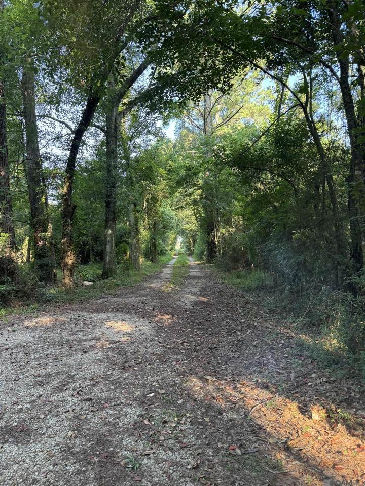 17286 La Hwy 933 - Photo 1