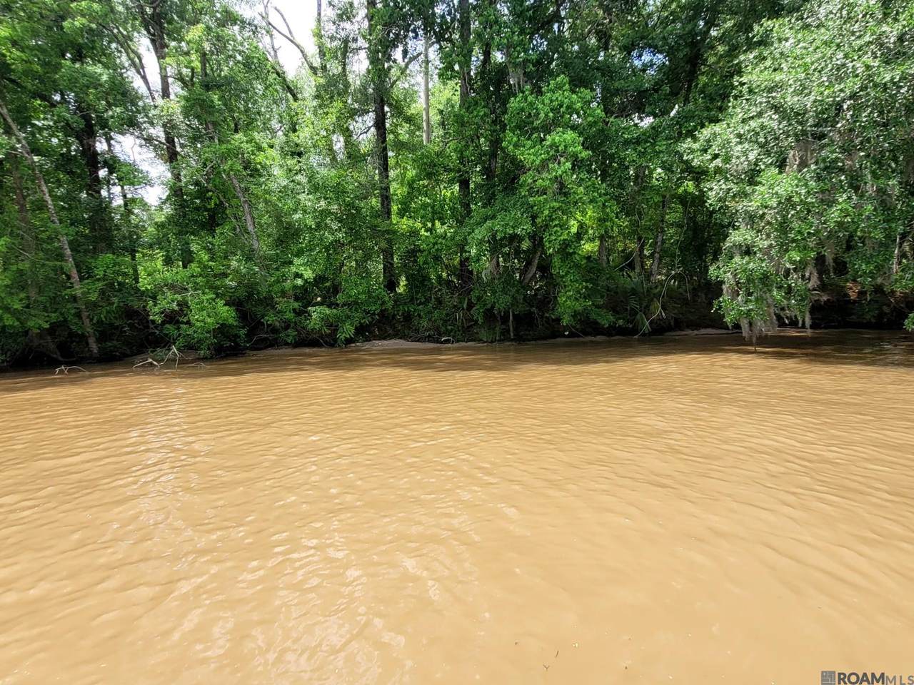 TBD Amite River Access Only - Photo 1