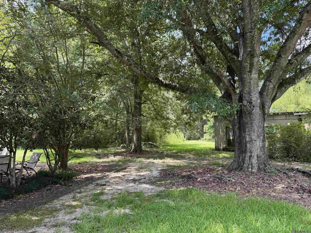 2553 Lirocchi Dr - Photo 1