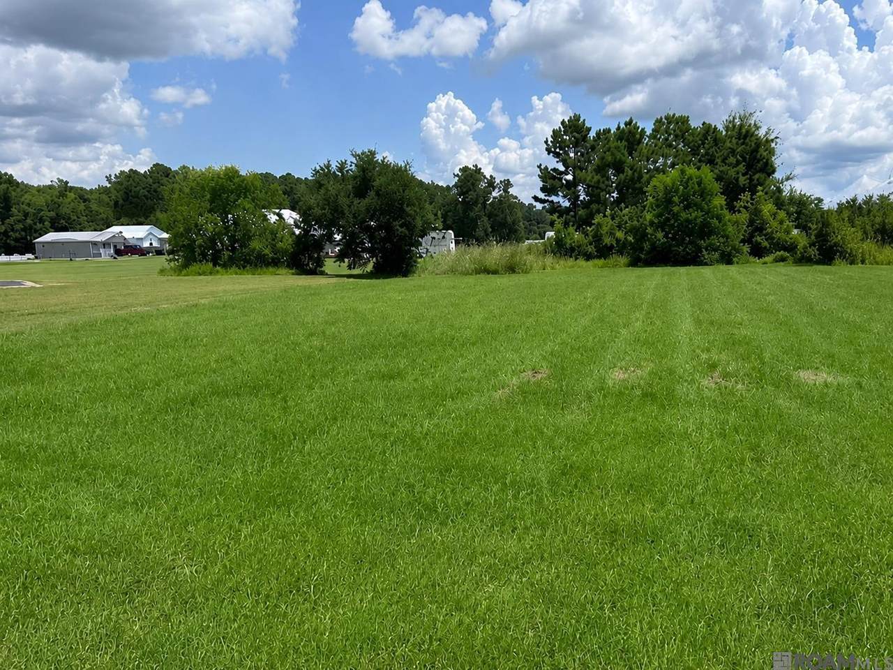 17070 Coles Creek - Photo 1
