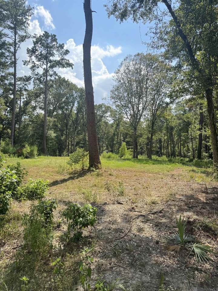 22863 Green Acres Blvd - Photo 1