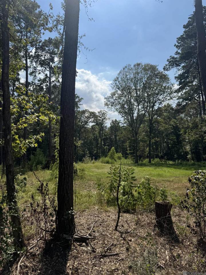 https://bt-photos.global.ssl.fastly.net/batonrouge/1280_boomver_1_2026014272-2.jpg