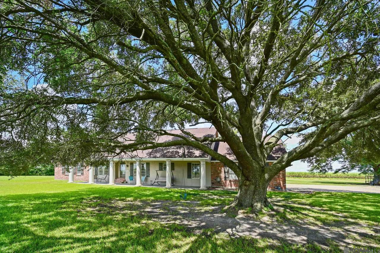 6806 Section Rd - Photo 1