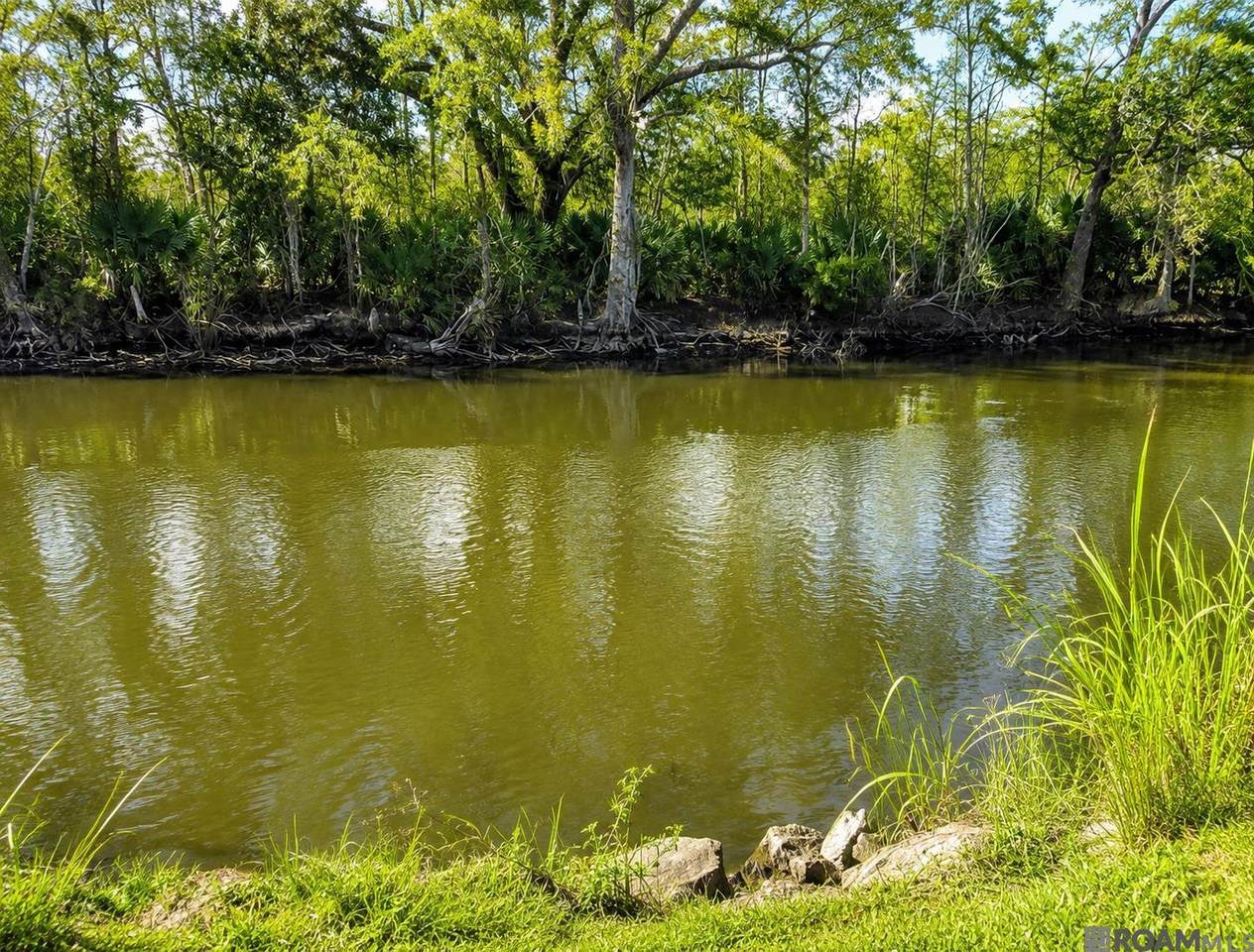 https://bt-photos.global.ssl.fastly.net/batonrouge/1280_boomver_1_2026016042-2.jpg