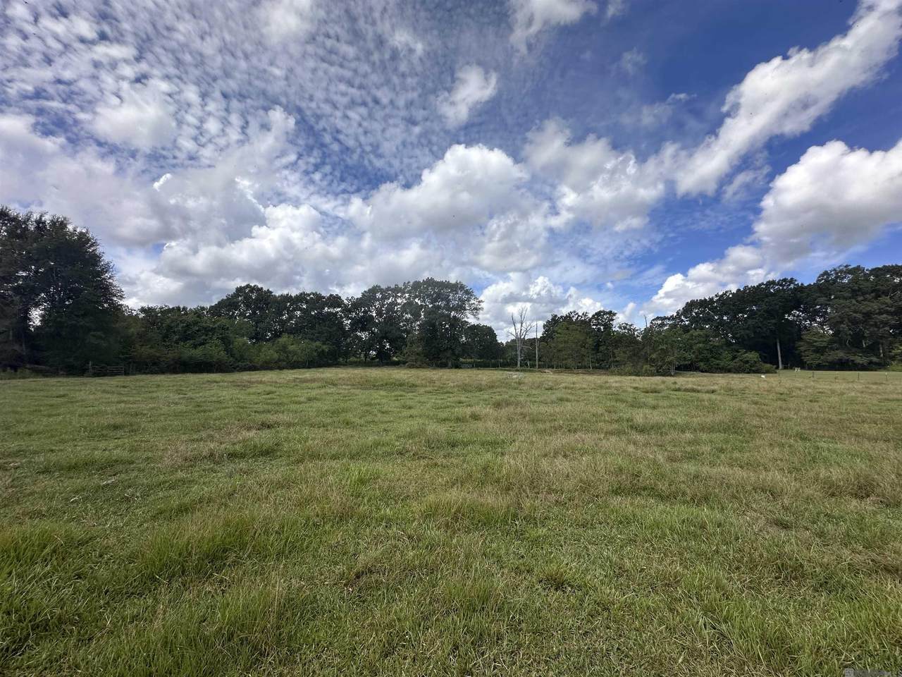 https://bt-photos.global.ssl.fastly.net/batonrouge/1280_boomver_1_2026016193-2.jpg