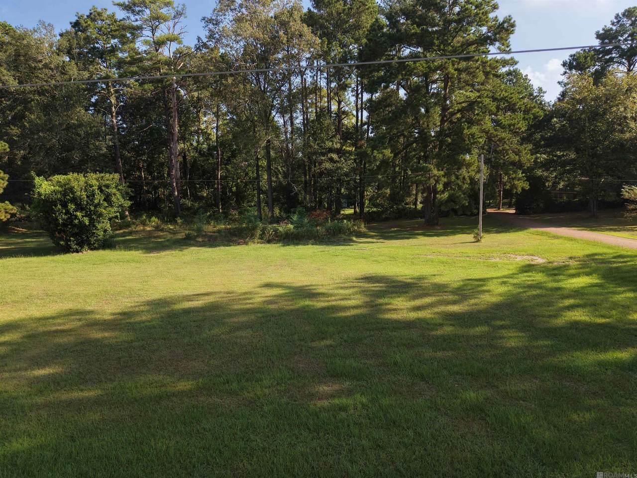 99 Julia Drive - Photo 1