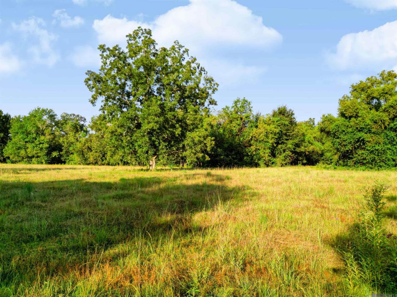 https://bt-photos.global.ssl.fastly.net/batonrouge/1280_boomver_1_2026016661-2.jpg