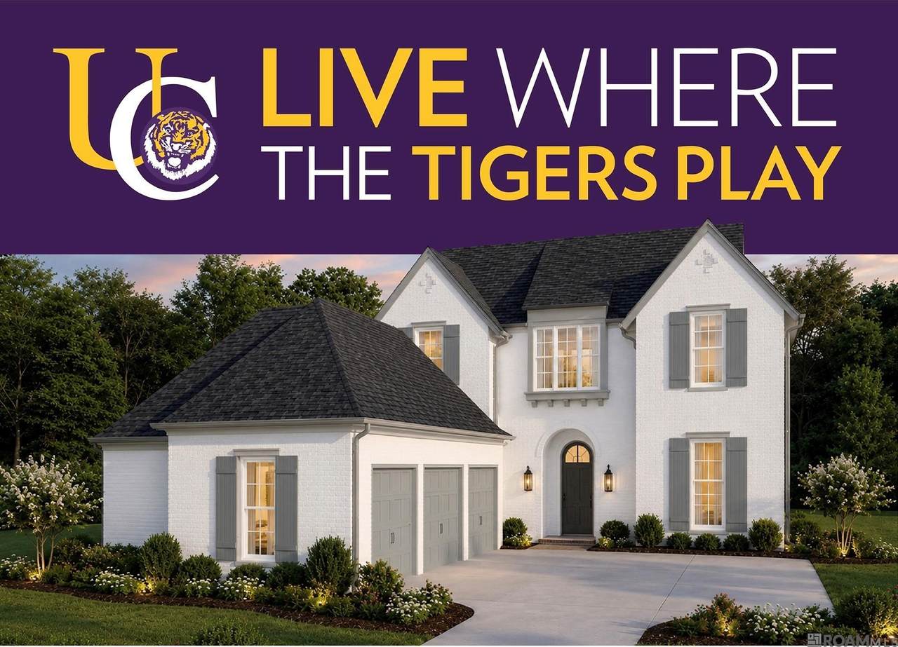 1662 Tiger Crossing Dr - Photo 1