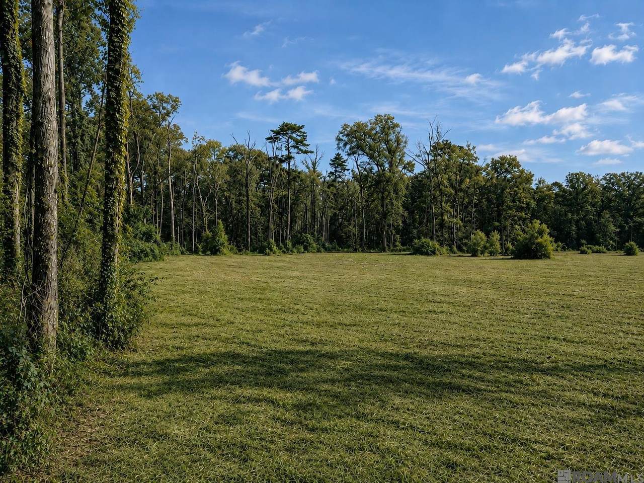 https://bt-photos.global.ssl.fastly.net/batonrouge/1280_boomver_1_2026017986-2.jpg