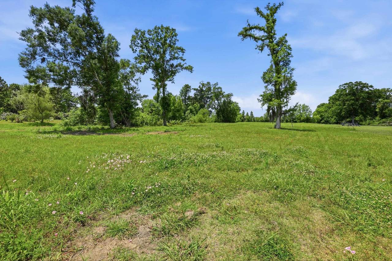 223 Chisholm Trail - Photo 1