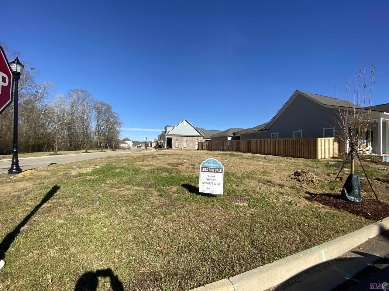 Lot 159 Haymarket St - Photo 1