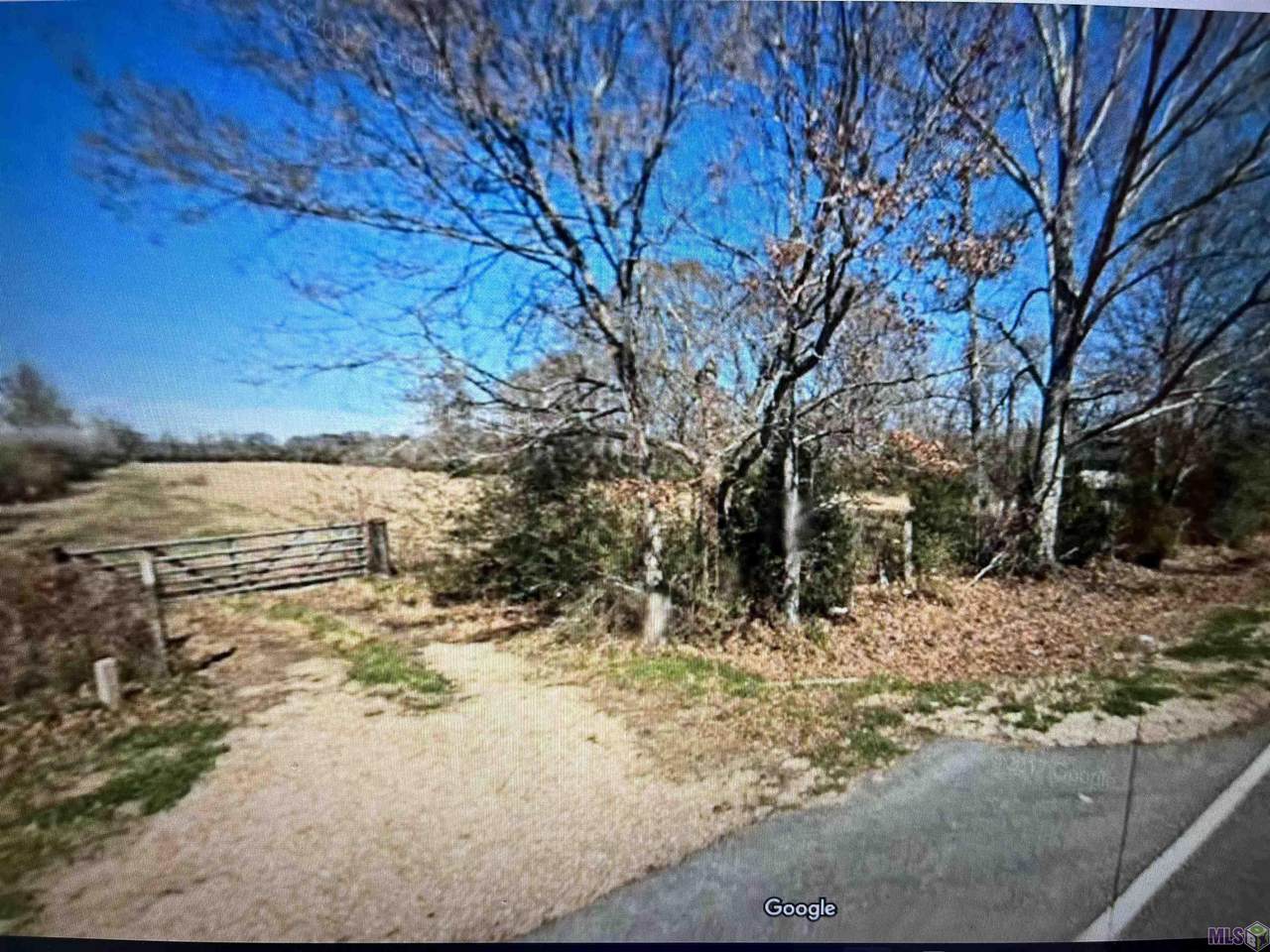 225 Plains Port Hudson Rd - Photo 1