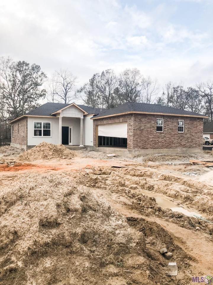 10579 Durmast Dr - Photo 1