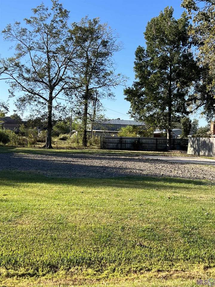 41027 Rustling Oak Dr - Photo 1