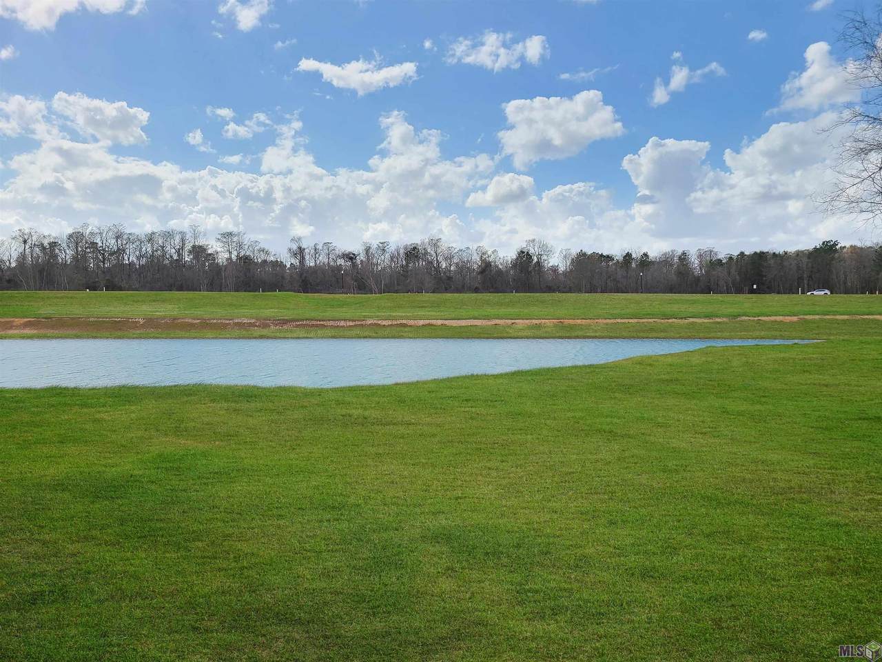 Lot 32 Collyns Cove - Photo 1