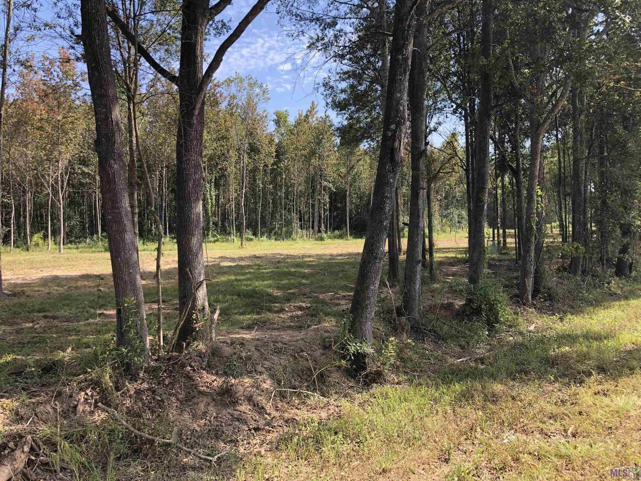 1629 Midway Rd - Photo 1