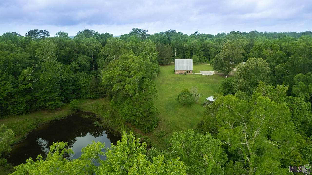 12724 Pittman Rd - Photo 1