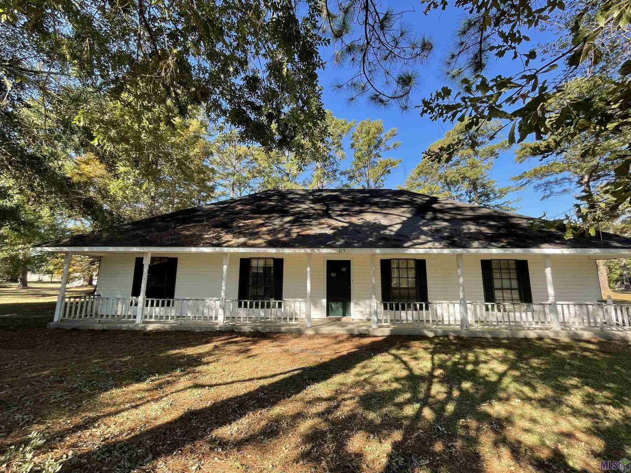 225 Rosewood Ave - Photo 1