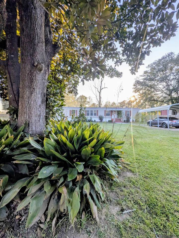 11858 Springfield Rd - Photo 1