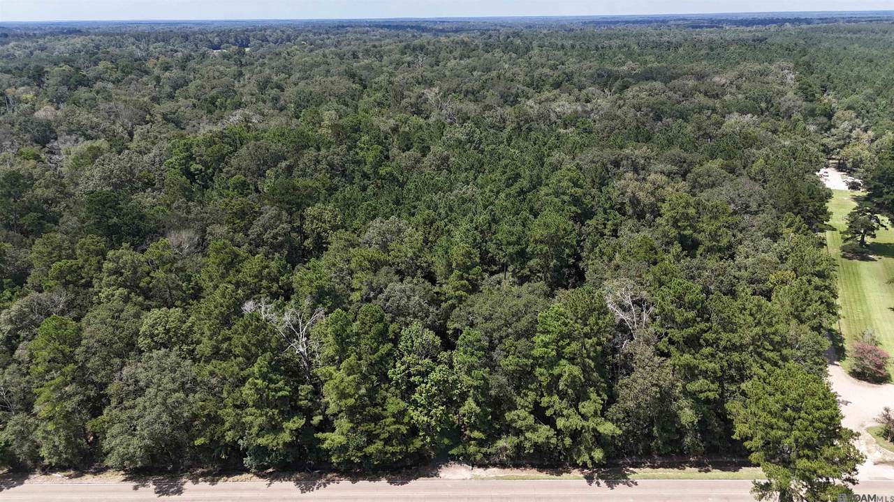 Lots A-1 & A-2 Stoney Point Burch Rd - Photo 1