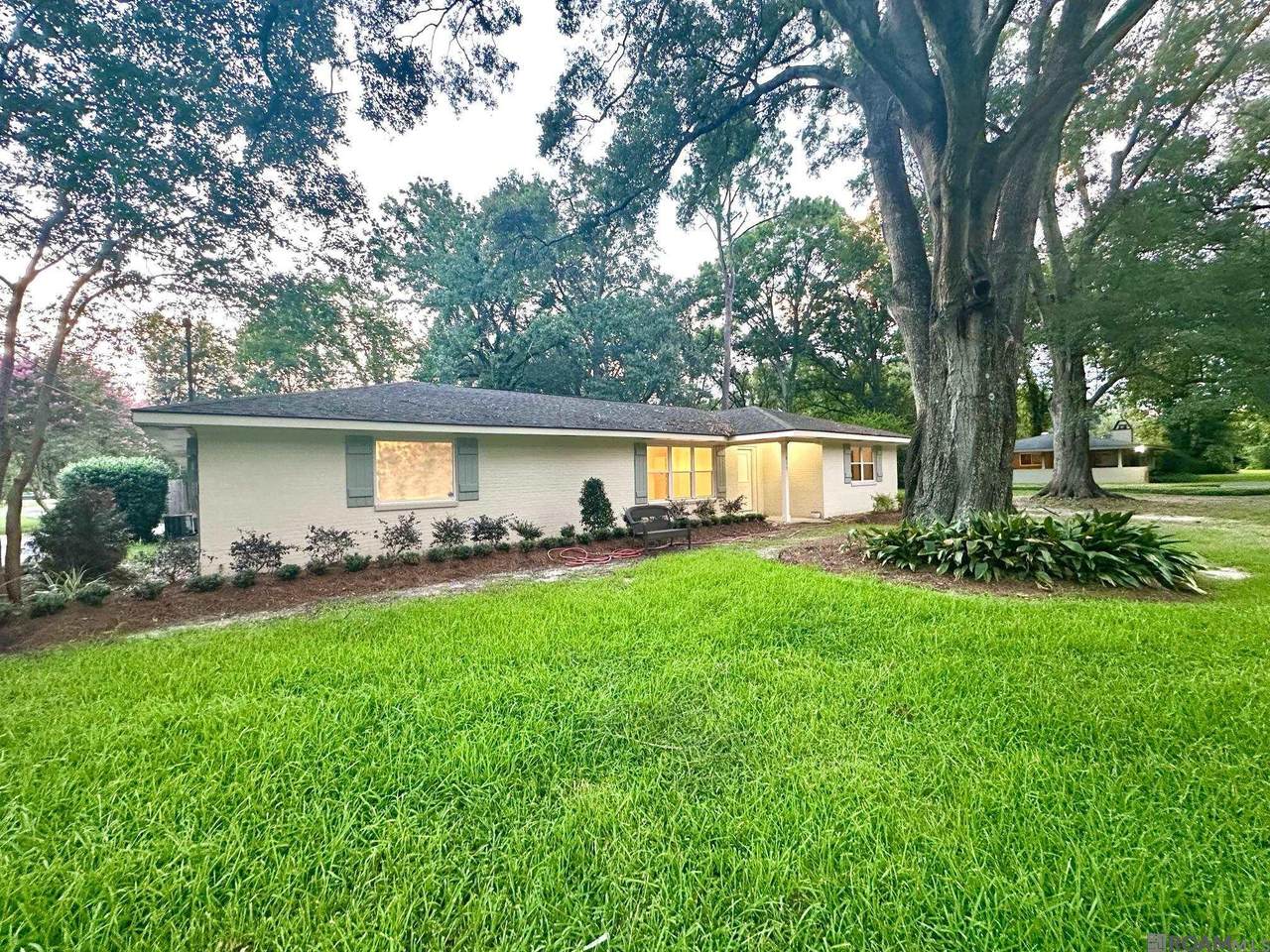 415 Magnolia Wood Ave - Photo 1