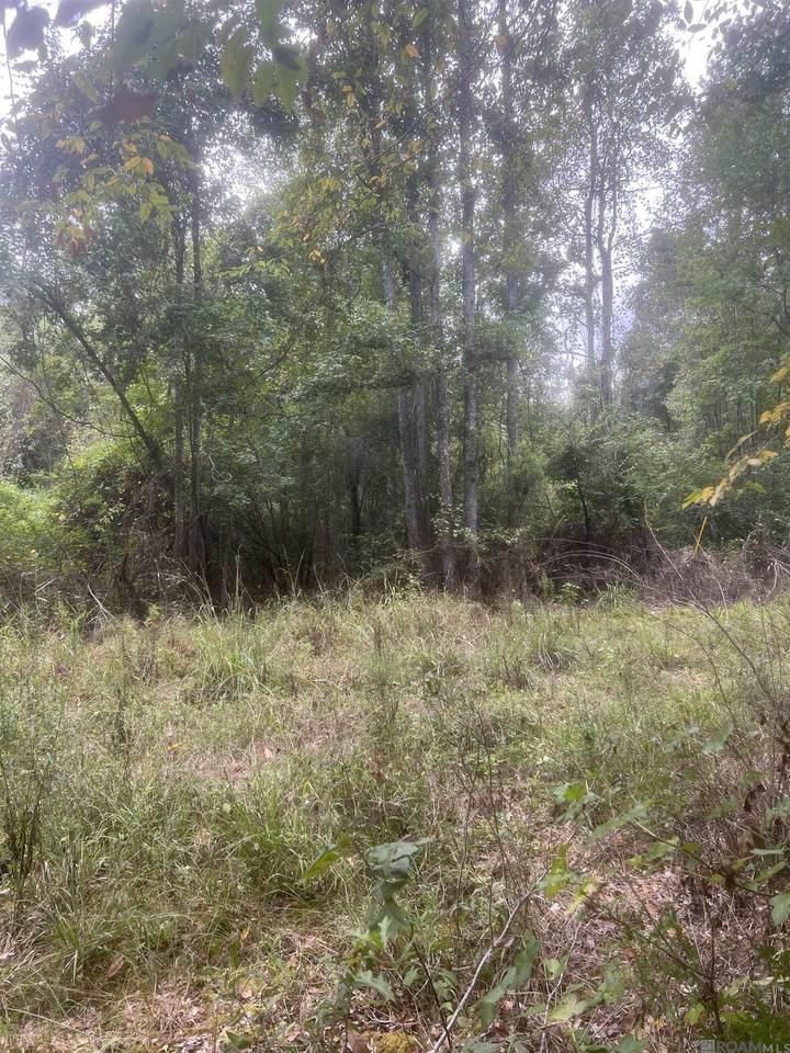 tract 1 Battle Rd - Photo 1