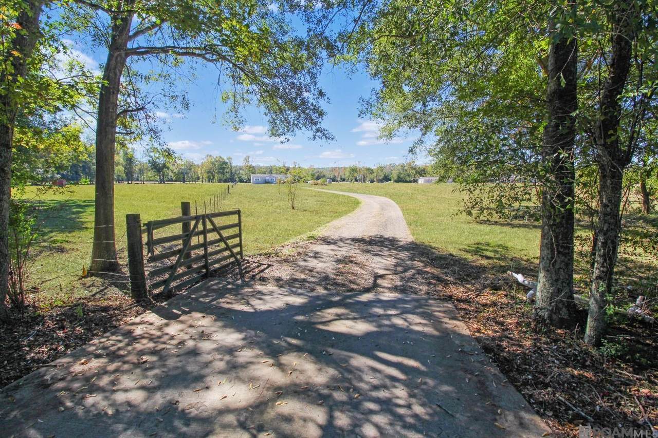10176 Greenwell Springs-Port Hudson Rd - Photo 1