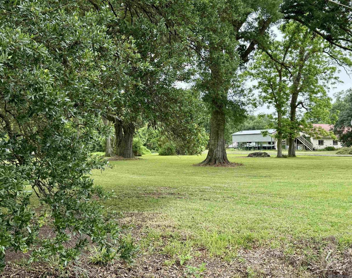 1.14 Acres Savoy Rd - Photo 1