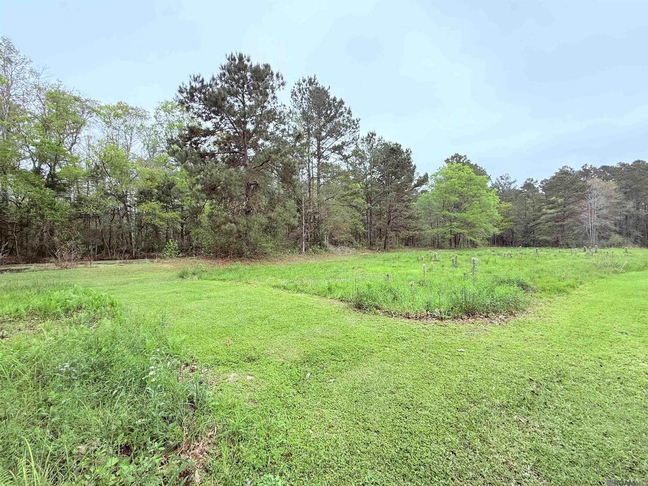 19425 Grantham Rd - Photo 1